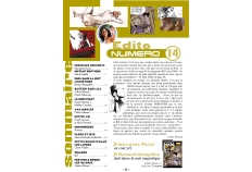mikro_14_1.jpg